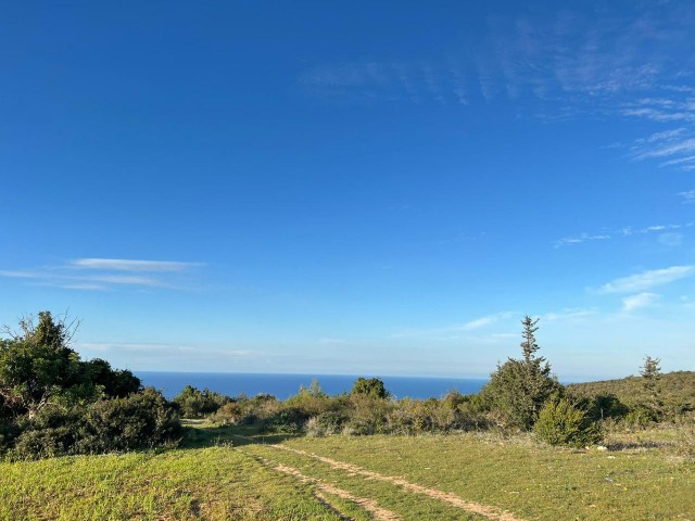 18 HEKTAR LAND MIT MEERBLICK IN ISKELE-SIPAHI ZU VERKAUFEN 