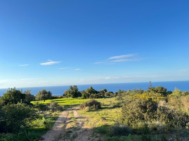 18 HEKTAR LAND MIT MEERBLICK IN ISKELE-SIPAHI ZU VERKAUFEN 