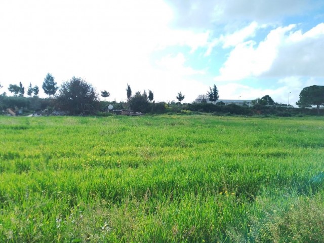 2 acres 600Ay2 Field with sea view and zoned for sale in Yeni Erenköy
