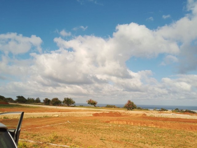 2 acres 600Ay2 Field with sea view and zoned for sale in Yeni Erenköy