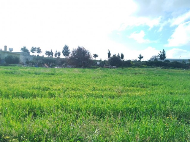 2 acres 600Ay2 Field with sea view and zoned for sale in Yeni Erenköy