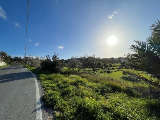 Zoned 1 Hektar 2 Häuser Land zu verkaufen in Yeni Erenköy