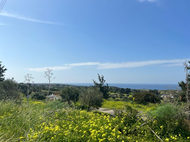 3 Hektar Land mit Zoneneinteilung und Meerblick zu verkaufen in Yeni Erenköy