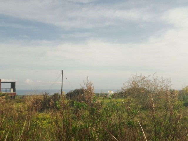 3 acres of land with zoning and sea view for sale in Yeni Erenköy