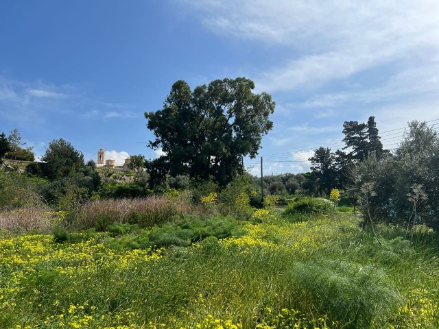 3 Hektar Land mit Zoneneinteilung und Meerblick zu verkaufen in Yeni Erenköy