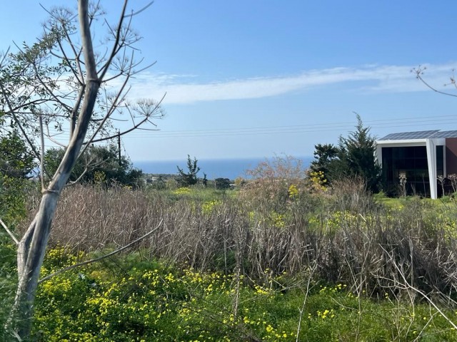 3 Hektar Land mit Zoneneinteilung und Meerblick zu verkaufen in Yeni Erenköy