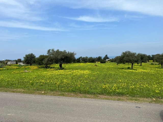 Yeni Erenkoy Land 5 min Entfernung zum Meer 