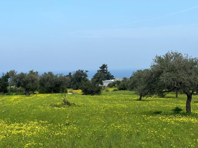 New Erenkoy Land 5 minutes from the sea 