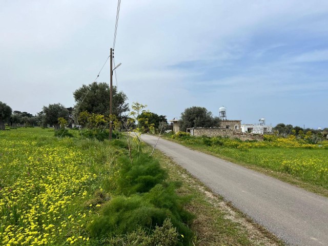 Yeni Erenkoy Land 5 min Entfernung zum Meer 