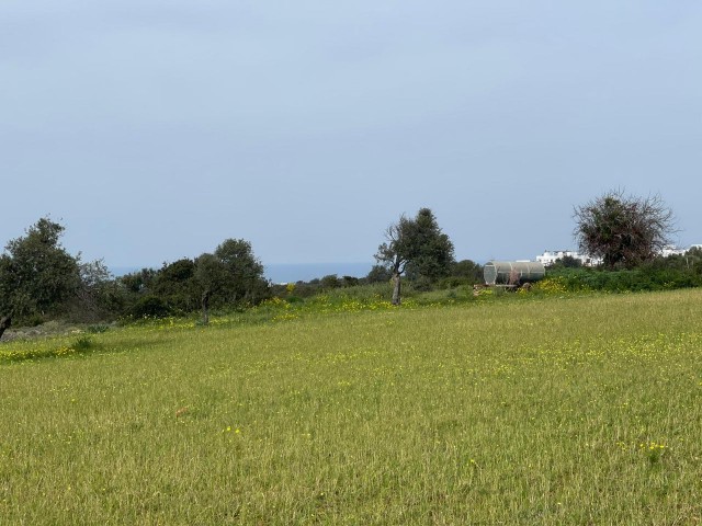 Eine großartige Gelegenheit für Investitionen: Meerblick Land zu verkaufen in Yeni Erenköy!