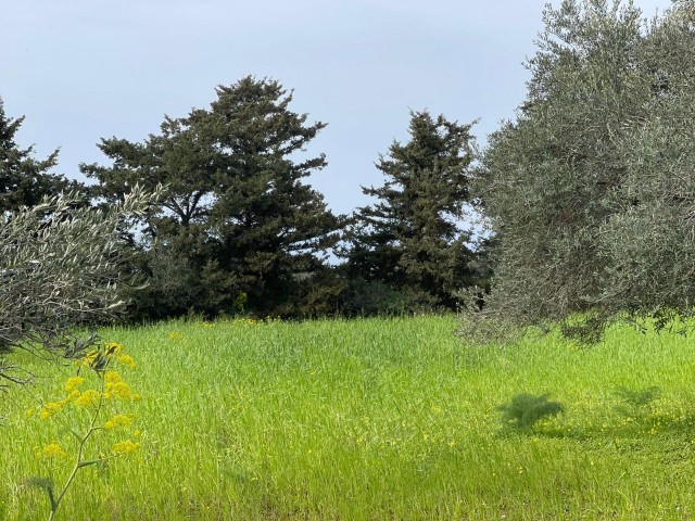 In der Natur, Meerblick 3 Hektar zoniert Feld zu verkaufen!