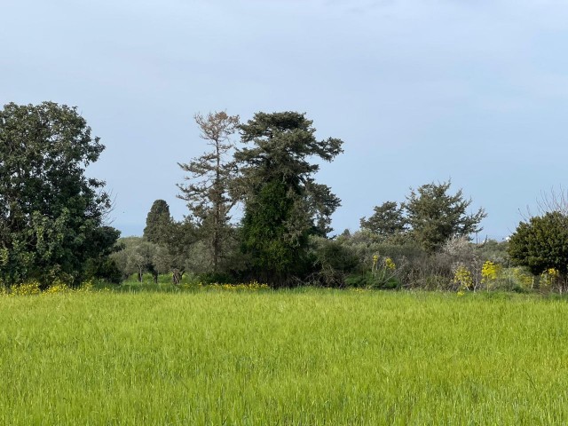 Bauen Sie das Haus Ihrer Träume mit Meerblick in Yeni Erenköy