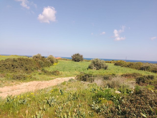 A Unique Investment Opportunity: 1 Acre with Perfect Sea View! Evlek Field For Sale!   