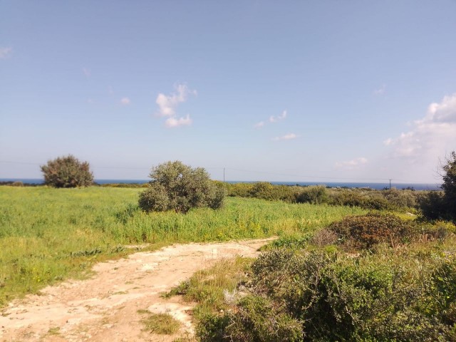 A Unique Investment Opportunity: 1 Acre with Perfect Sea View! Evlek Field For Sale!   