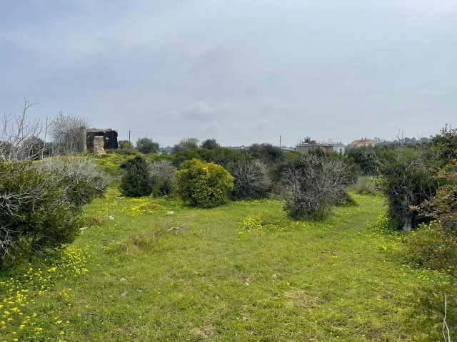 Ein friedliches Leben in der Natur mit Meerblick wartet auf Sie in Yeni Erenköy!