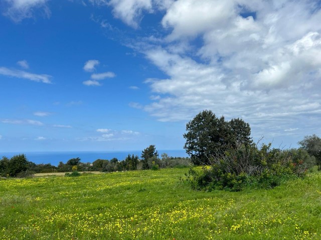 SEA VIEW7 ACRES OF LAND WITH 3 HOUSES FOR SALE IN ISKELE-SIPAHI 