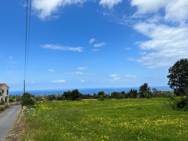 SEA VIEW7 ACRES OF LAND WITH 3 HOUSES FOR SALE IN ISKELE-SIPAHI 