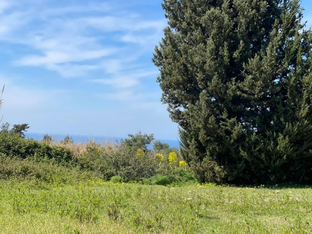 5 Acres of Magnificent Sea View Land with Zoning Road and Full Infrastructure in Yeni Erenköy