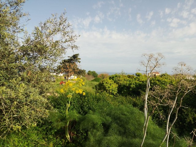 Einzigartige Gelegenheit für Ihr Traumhaus: 920 m² großes Grundstück mit Meerblick in Yeni Erenköy!