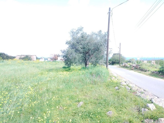 3 Acres of 2 Evlek Fields with -35% Zoning Permit and Sea View in Yeni Erenköy, Located in a Perfect Location