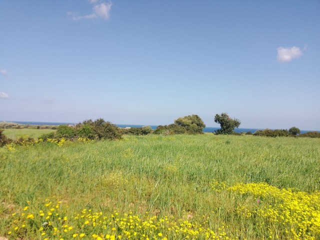 3 Acres of 2 Evlek Fields with -35% Zoning Permit and Sea View in Yeni Erenköy, Located in a Perfect Location