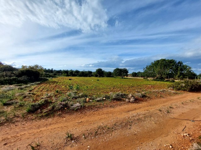 4 Acres 2 Häuser von Land zu verkaufen in Yeni Erenköy 