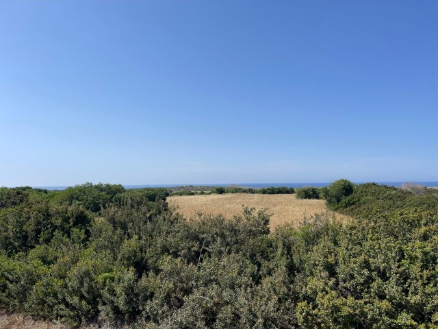 Eine Ecke himmlischen Landes an der neuen Straße mit Meerblick in Erenköy ❗️❕