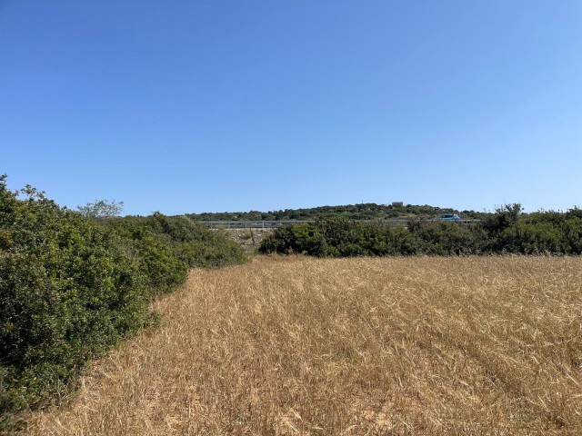 Eine Ecke himmlischen Landes an der neuen Straße mit Meerblick in Erenköy ❗️❕