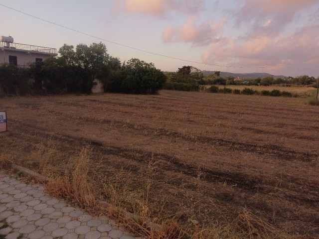 LAND FOR SALE IN DIPKARPAZ, WITH 2 DECORATIONS OF 3 HOUSES