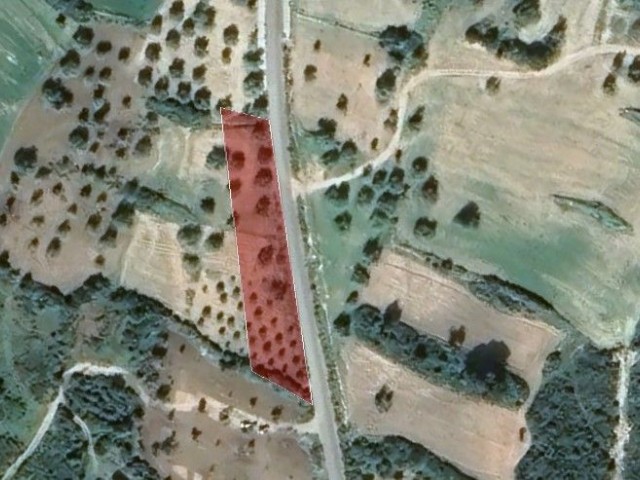 LAND WITH AGRICULTURAL CONSTRUCTION FOR SALE IN DIPKARPAZ.