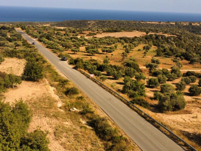 GRUNDSTÜCK MIT LANDWIRTSCHAFTLICHEM BAU ZUM VERKAUF IN DIPKARPAZ.