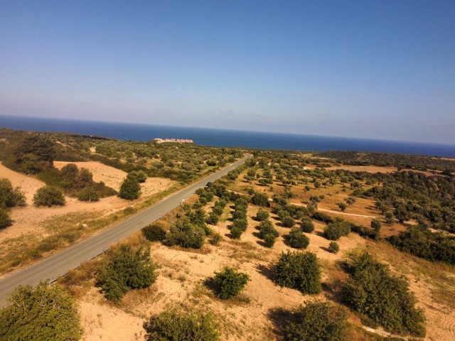 GRUNDSTÜCK MIT LANDWIRTSCHAFTLICHEM BAU ZUM VERKAUF IN DIPKARPAZ.