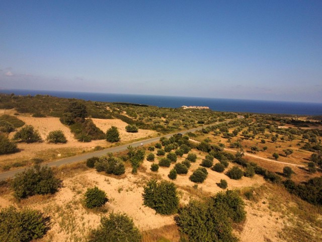 GRUNDSTÜCK MIT LANDWIRTSCHAFTLICHEM BAU ZUM VERKAUF IN DIPKARPAZ.