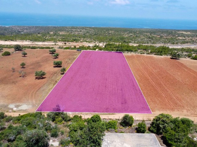 5 Hektar 3 Häuser zum Verkauf in Yeni Erenköy, Investitionsgrundstück mit Meerblick!