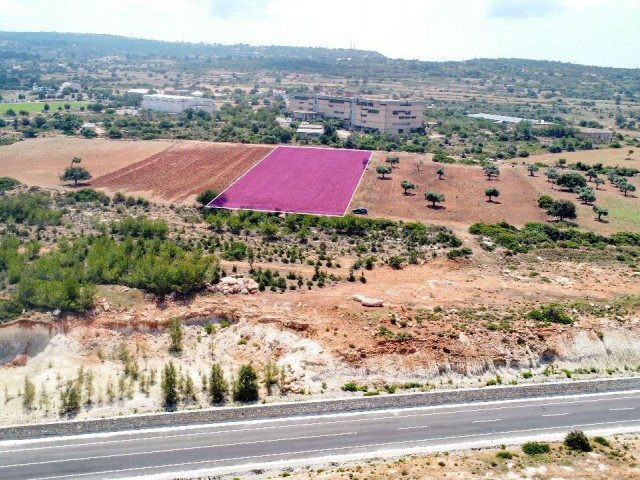 5 Hektar 3 Häuser zum Verkauf in Yeni Erenköy, Investitionsgrundstück mit Meerblick!