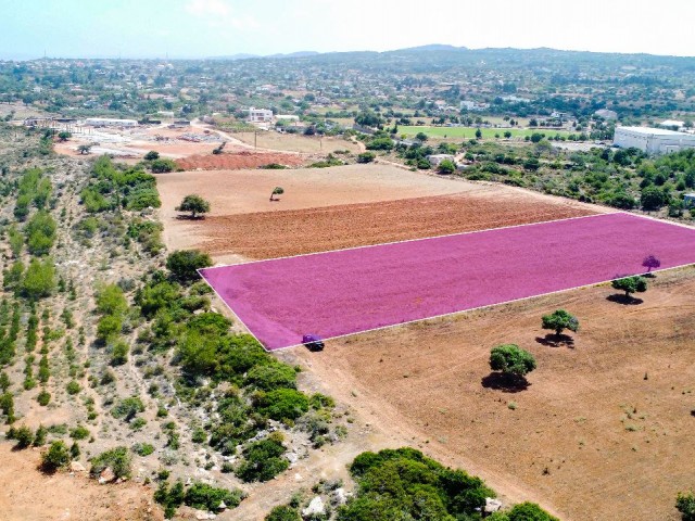 5 Hektar 3 Häuser zum Verkauf in Yeni Erenköy, Investitionsgrundstück mit Meerblick!