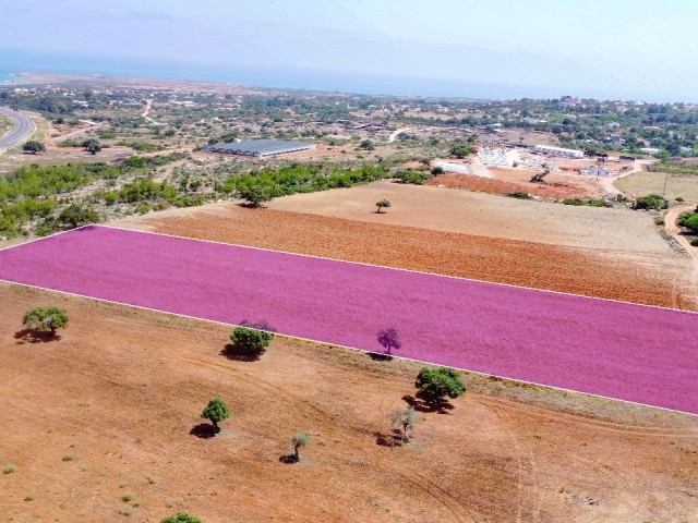 5 Hektar 3 Häuser zum Verkauf in Yeni Erenköy, Investitionsgrundstück mit Meerblick!