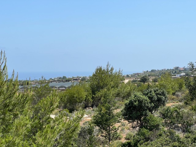 5 Acres of 3 Houses for Sale in Yeni Erenköy, Investment Land with Sea View!