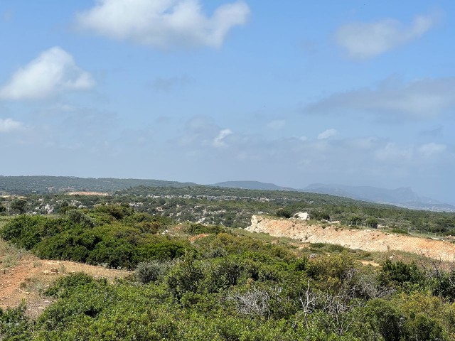 5 Hektar 3 Häuser zum Verkauf in Yeni Erenköy, Investitionsgrundstück mit Meerblick!