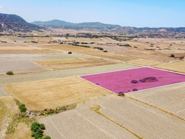 Dipkarpaz - Kaleburnu Boylu Resturant Yolu Ana Yol Üzeri 11 Dönüm 3 Evlek Yatırımlık Fırsat Arazi!