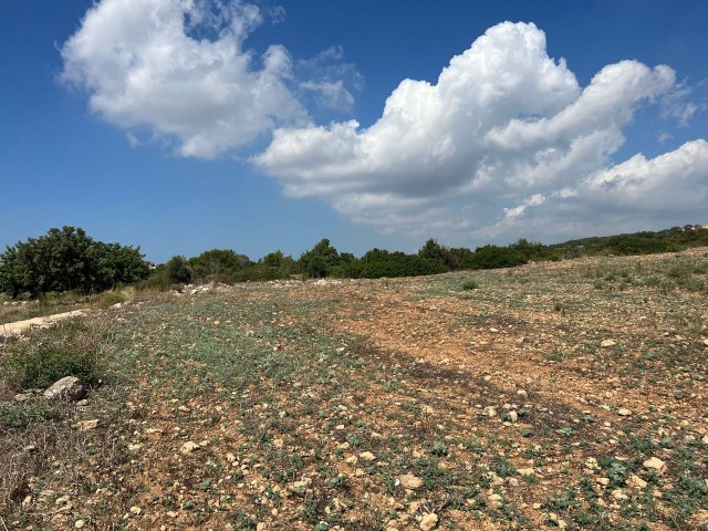 1 acre of 1 Evlek Field Suitable for Construction with Sea View in Yeni Erenköy