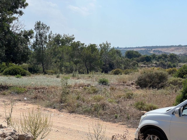 1 Hektar 1 Evlek-Feld, geeignet für den Bau mit Meerblick in Yeni Erenköy