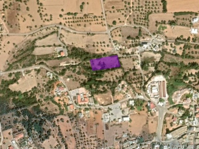 2 and a half acres of land for sale with sea view in Yenierenköy