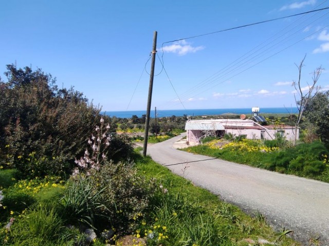 2 and a half acres of land for sale with sea view in Yenierenköy