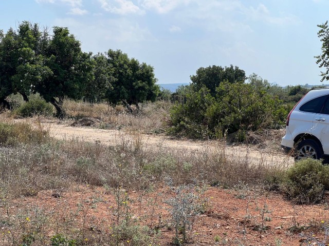 Muhteşem Deniz Manzaralı ve Yolu Olan 3  Dönüm 3 Evlek  Arazi Yatırım Fırsatı!