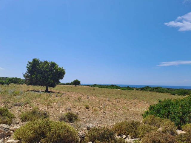 7 acres of land for sale in Yeni Erenköy with a zoned and sea view