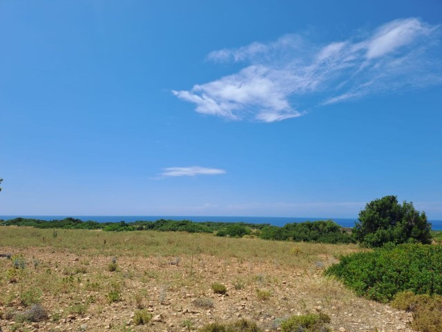 7 acres of land for sale in Yeni Erenköy with a zoned and sea view