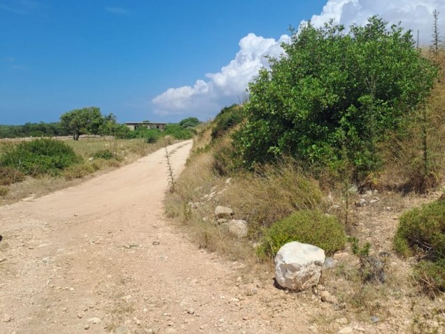 7 acres of land for sale in Yeni Erenköy with a zoned and sea view