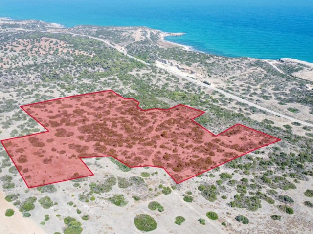 41-Acre Field with Magnificent Sea View: Perfect Opportunity for Investment!