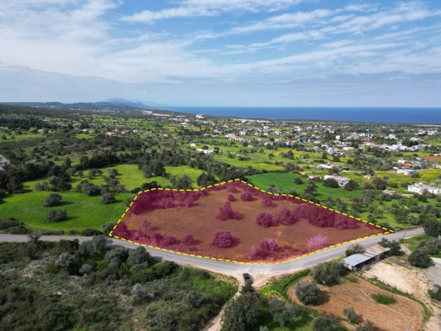 6 DECEMBER OF LAND FOR SALE IN YENİERENKÖY